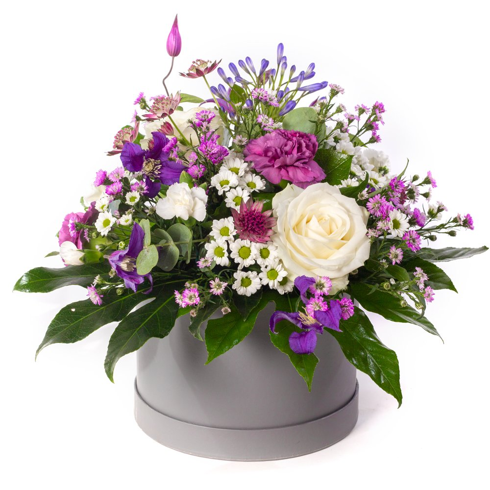Purple Haze Product Image
