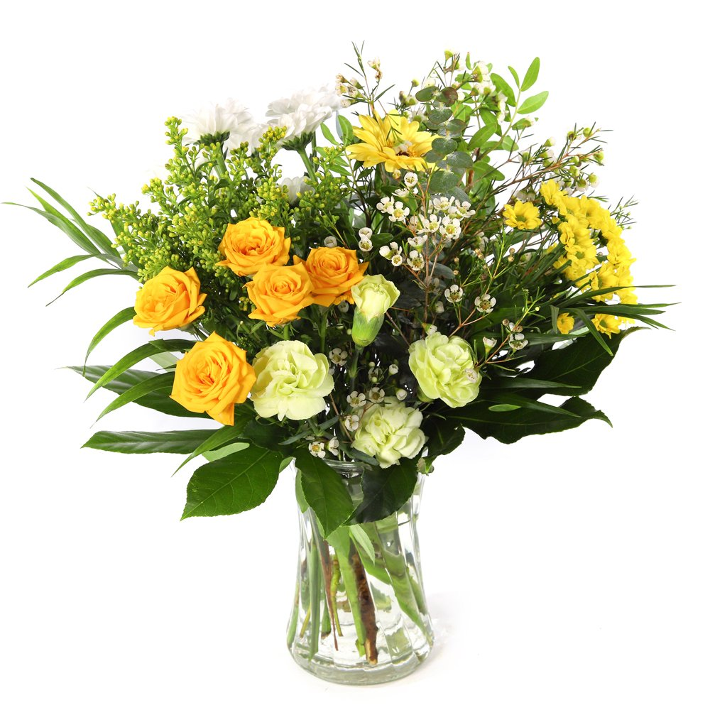Citrus Shades Product Image