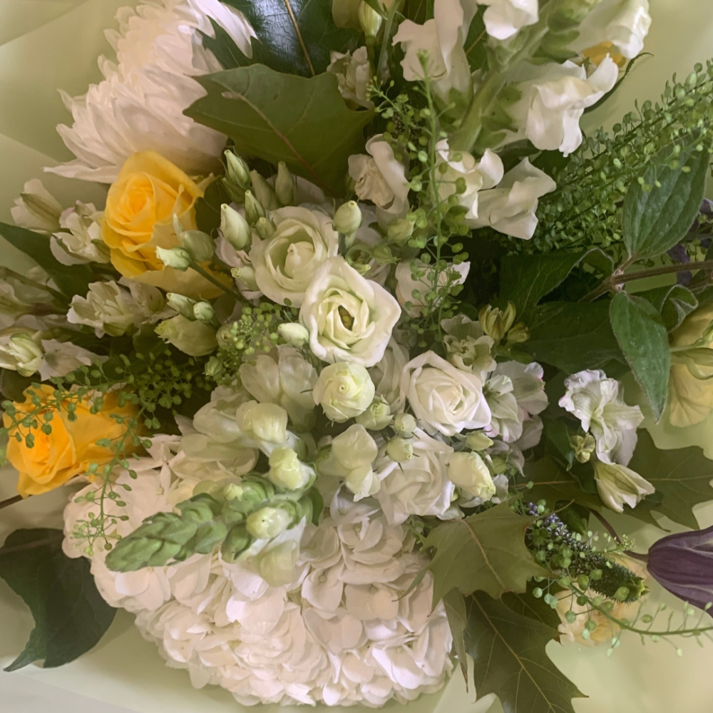 Florist Choice Gift-Wrap Product Image
